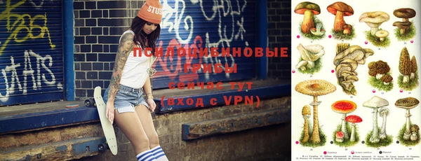 таблы Верхний Тагил