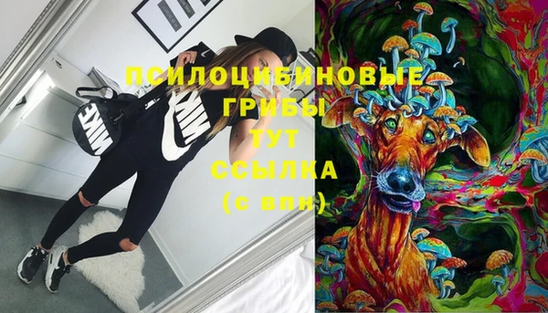 таблы Верхний Тагил