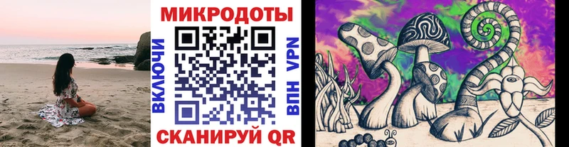 купить   Лыткарино  Галлюциногенные грибы мухоморы 